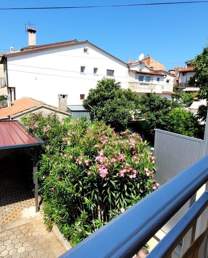 Apartmani Sojka โรวีน ภายนอก รูปภาพ